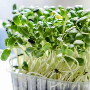microgreens